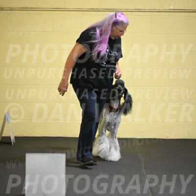 SAT517_0025