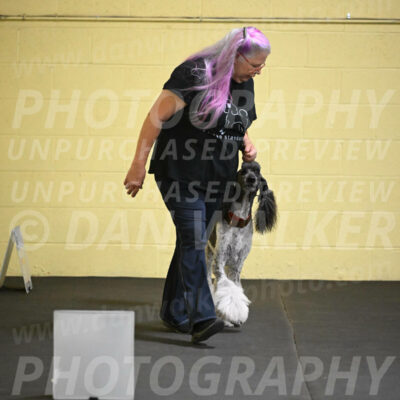 SAT517_0026