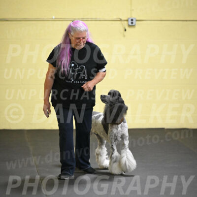 SAT517_0036
