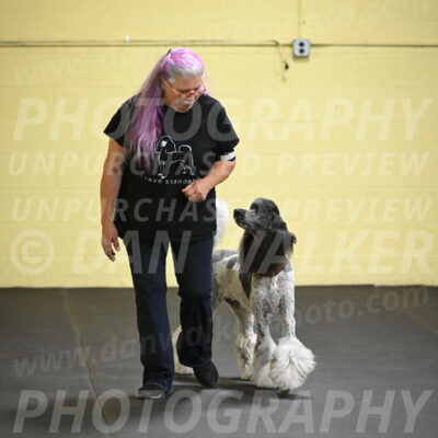 SAT517_0037