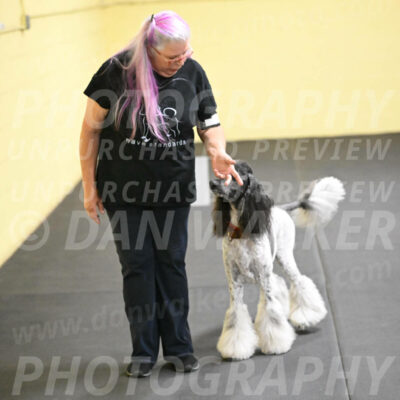 SAT517_0059