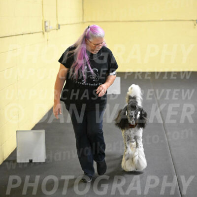 SAT517_0074
