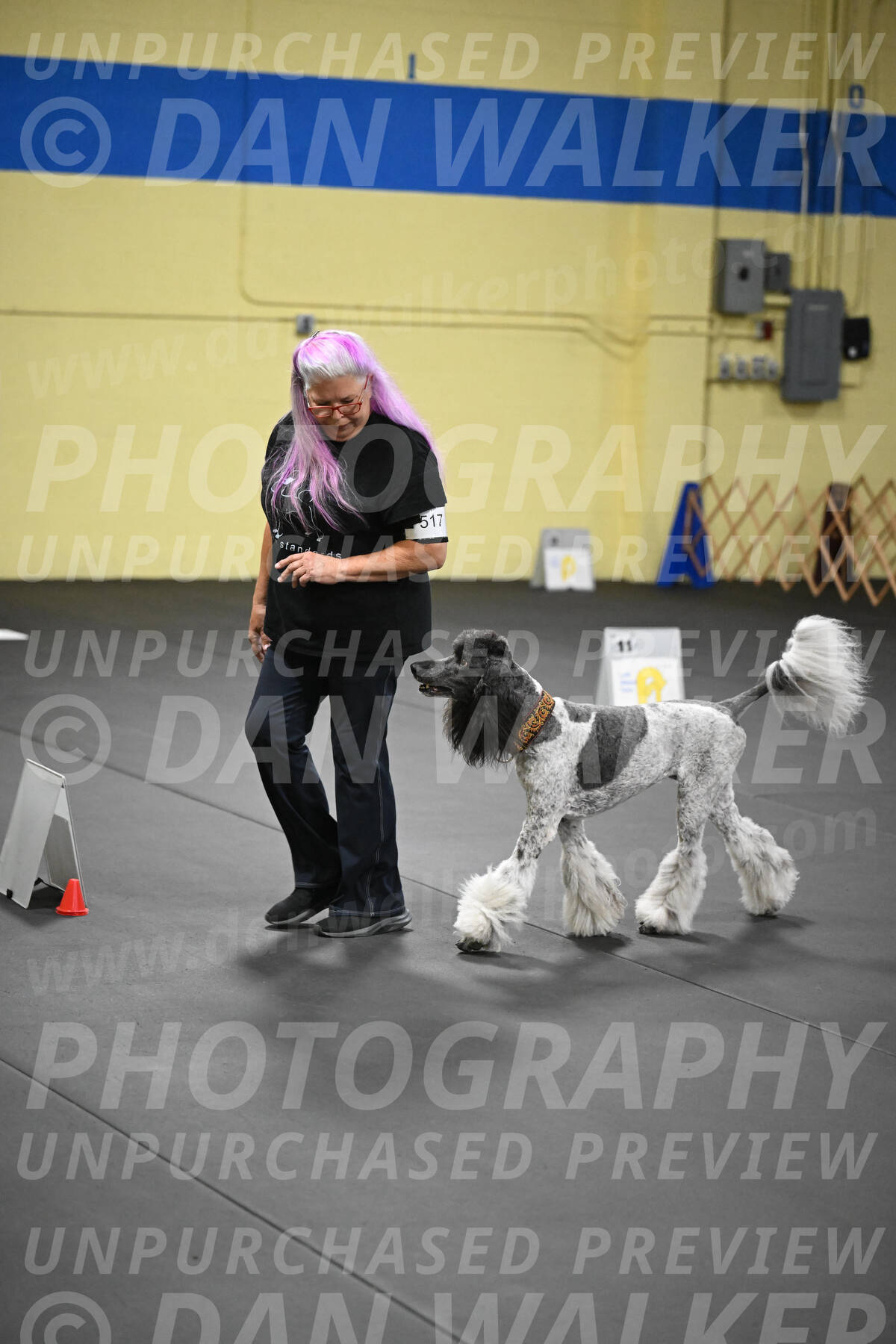 SAT517_0078