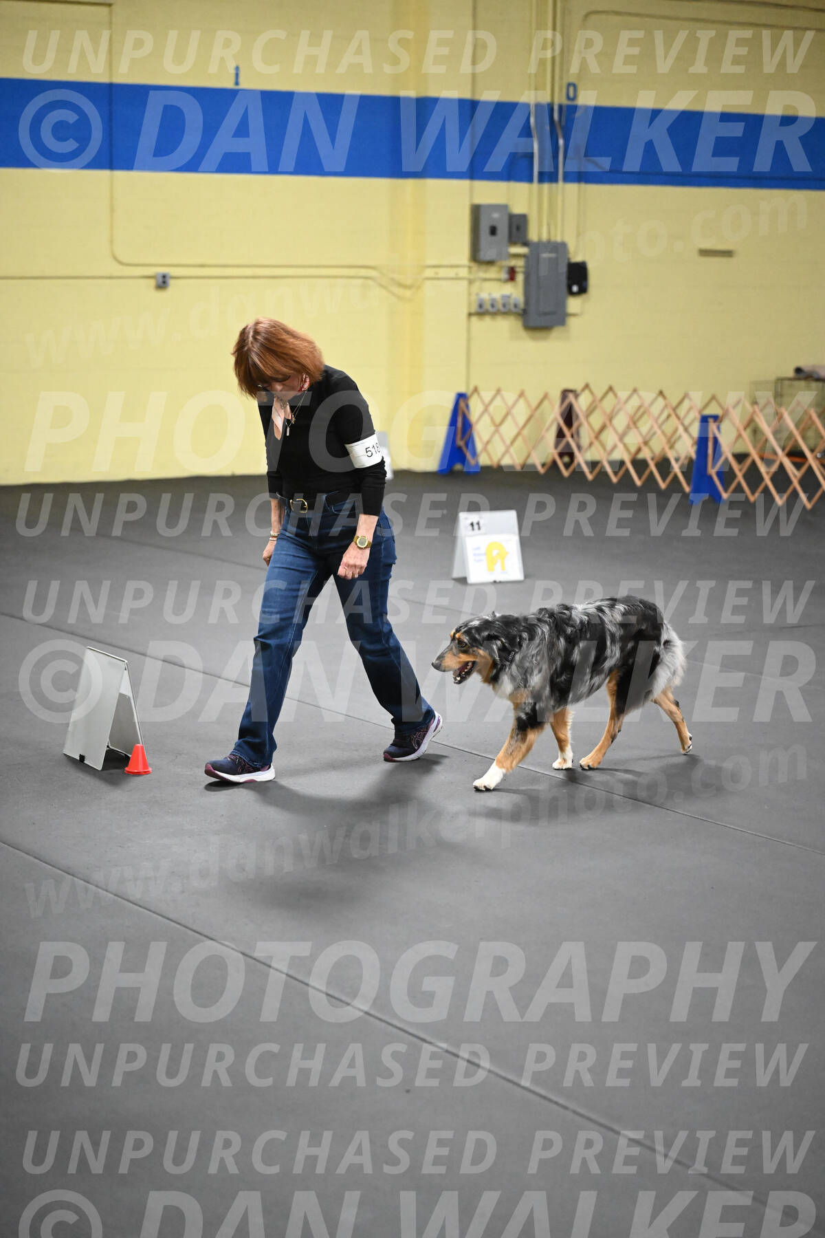 SAT518_0049
