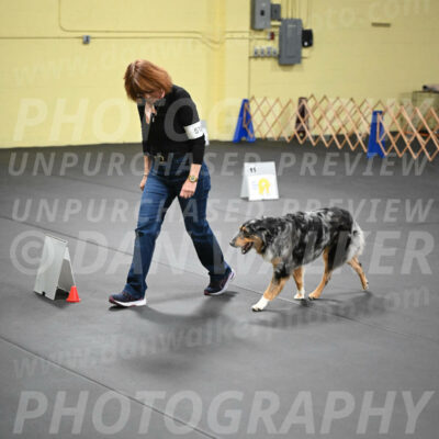 SAT518_0049