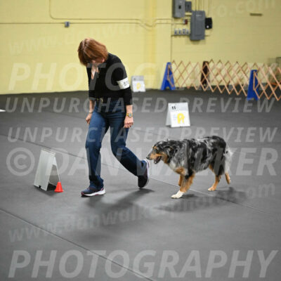 SAT518_0050