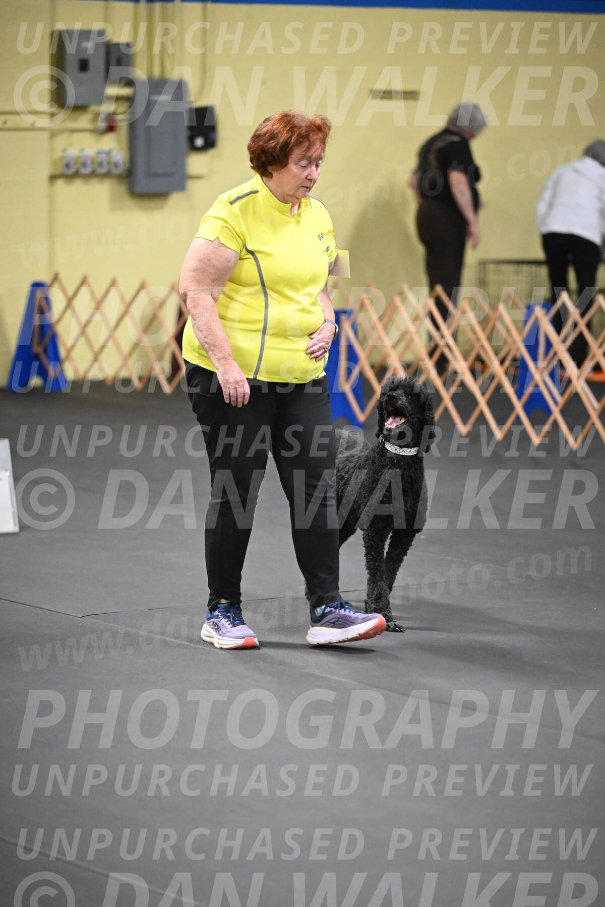 SAT519_0046
