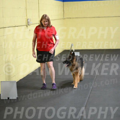 SAT520_0036