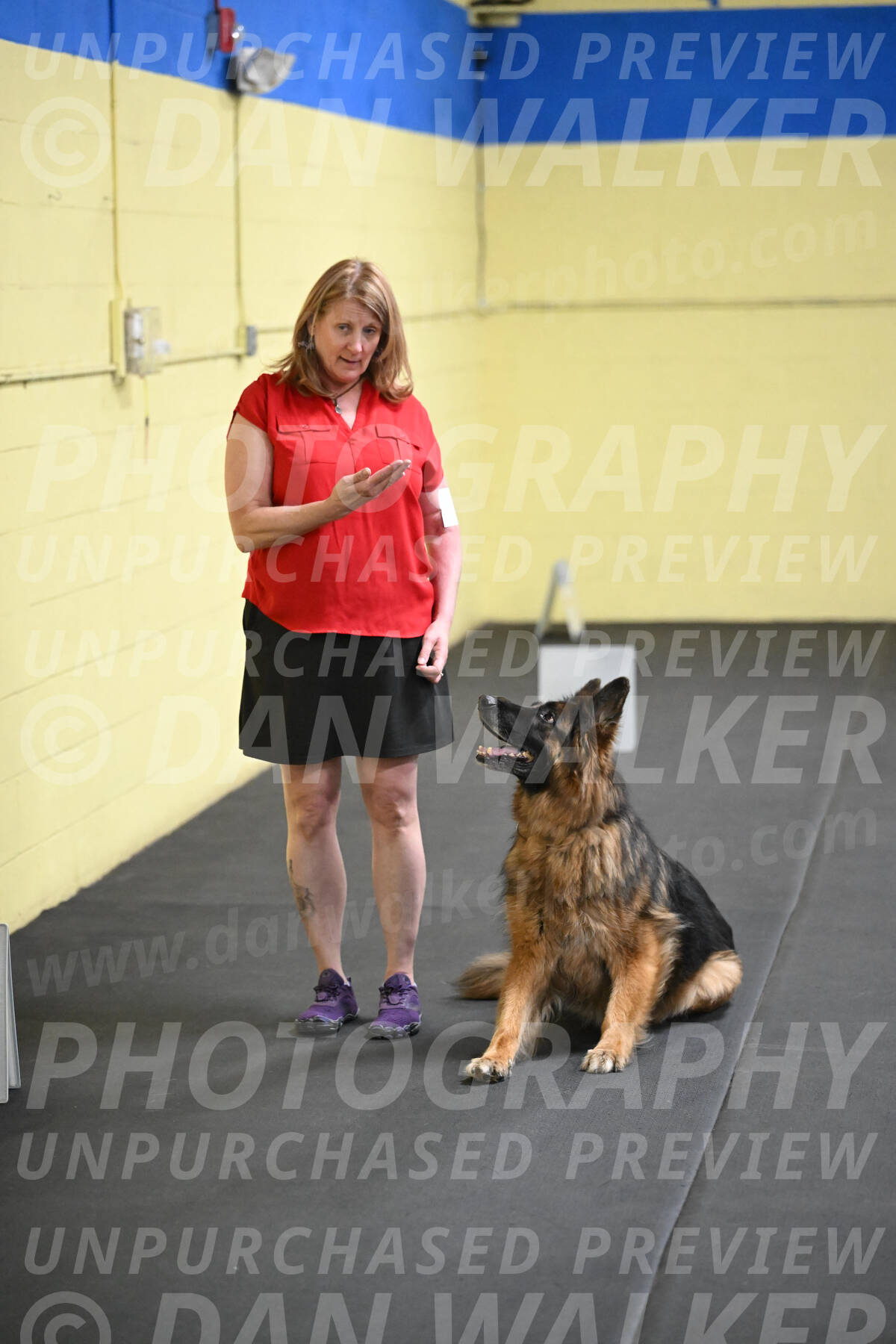 SAT520_0043