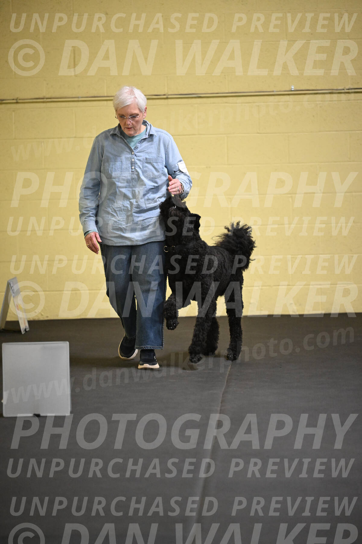SAT521_0019