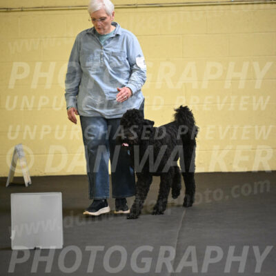 SAT521_0021