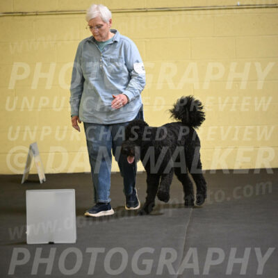 SAT521_0023