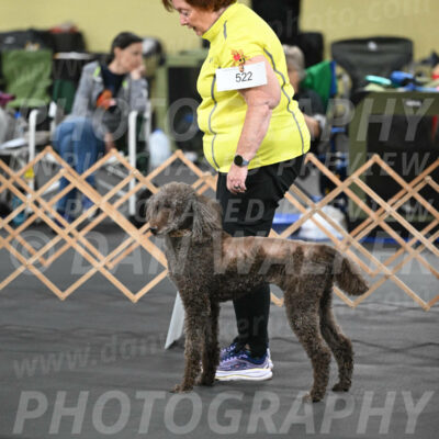 SAT522_0007