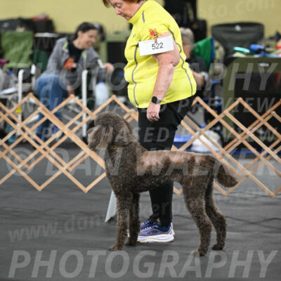 SAT522_0010