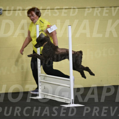 SAT522_0014