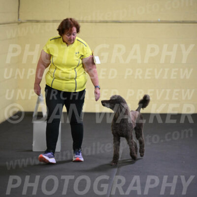 SAT522_0026