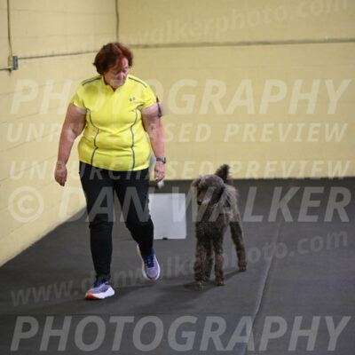 SAT522_0035