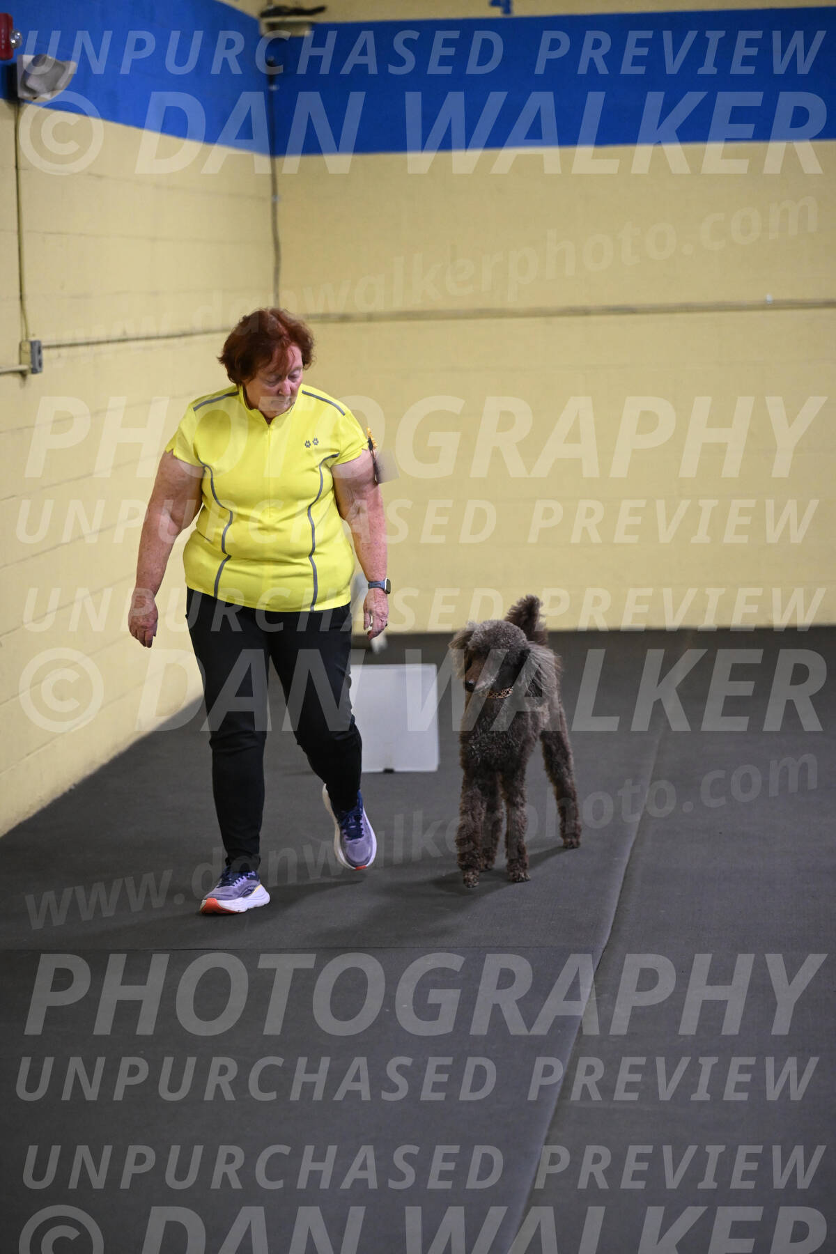 SAT522_0035
