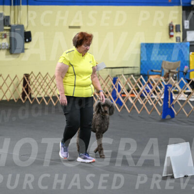 SAT522_0063
