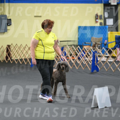 SAT522_0065