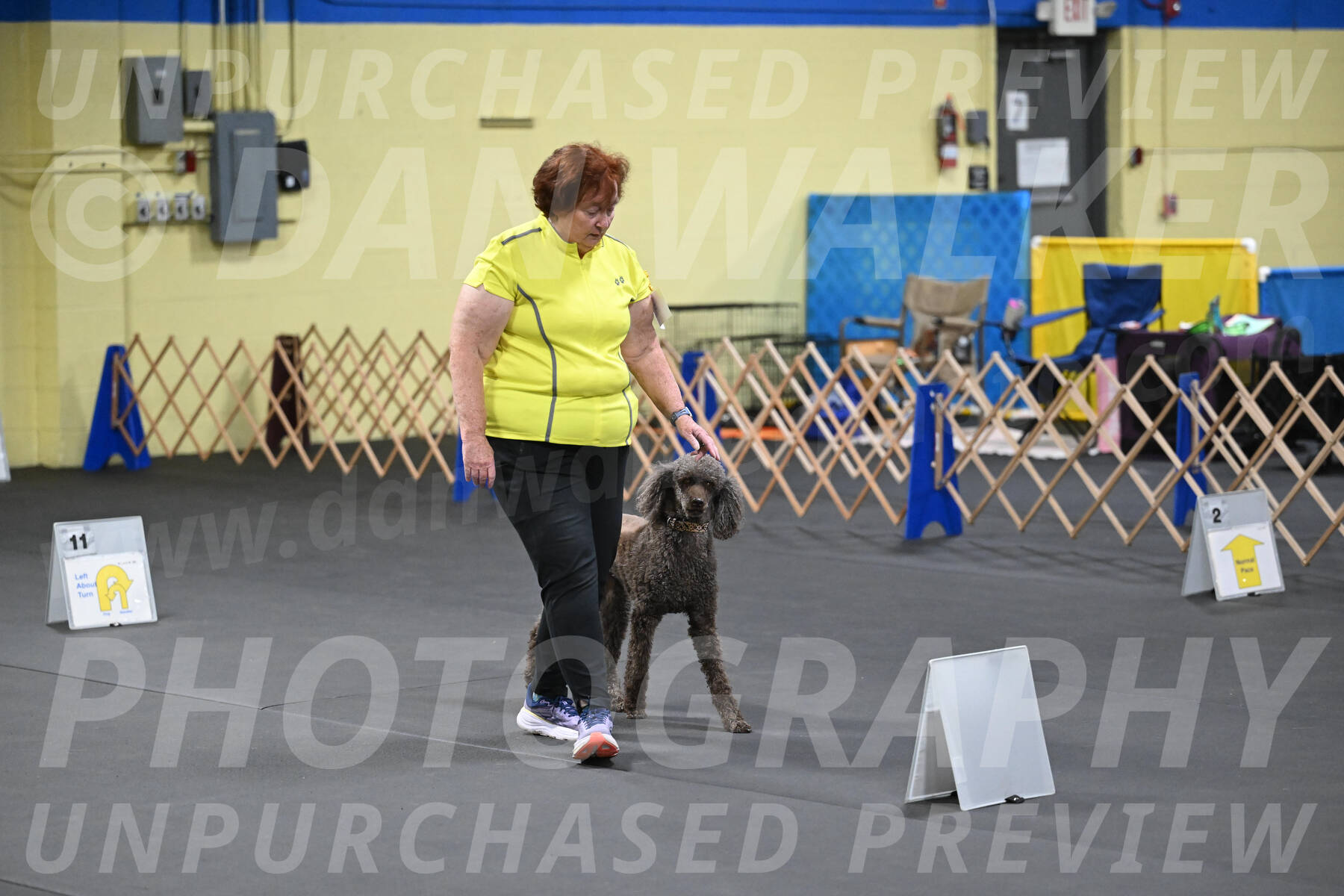 SAT522_0065