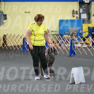 SAT522_0067