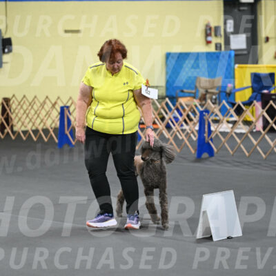 SAT522_0069