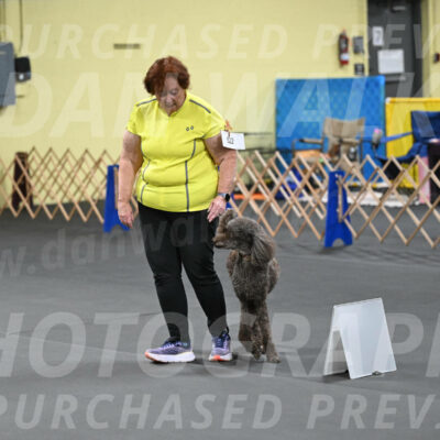 SAT522_0070