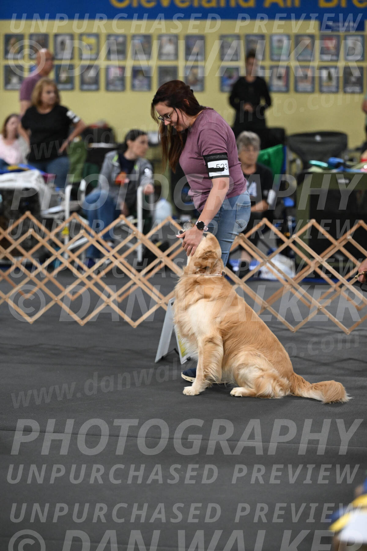 SAT523_0006