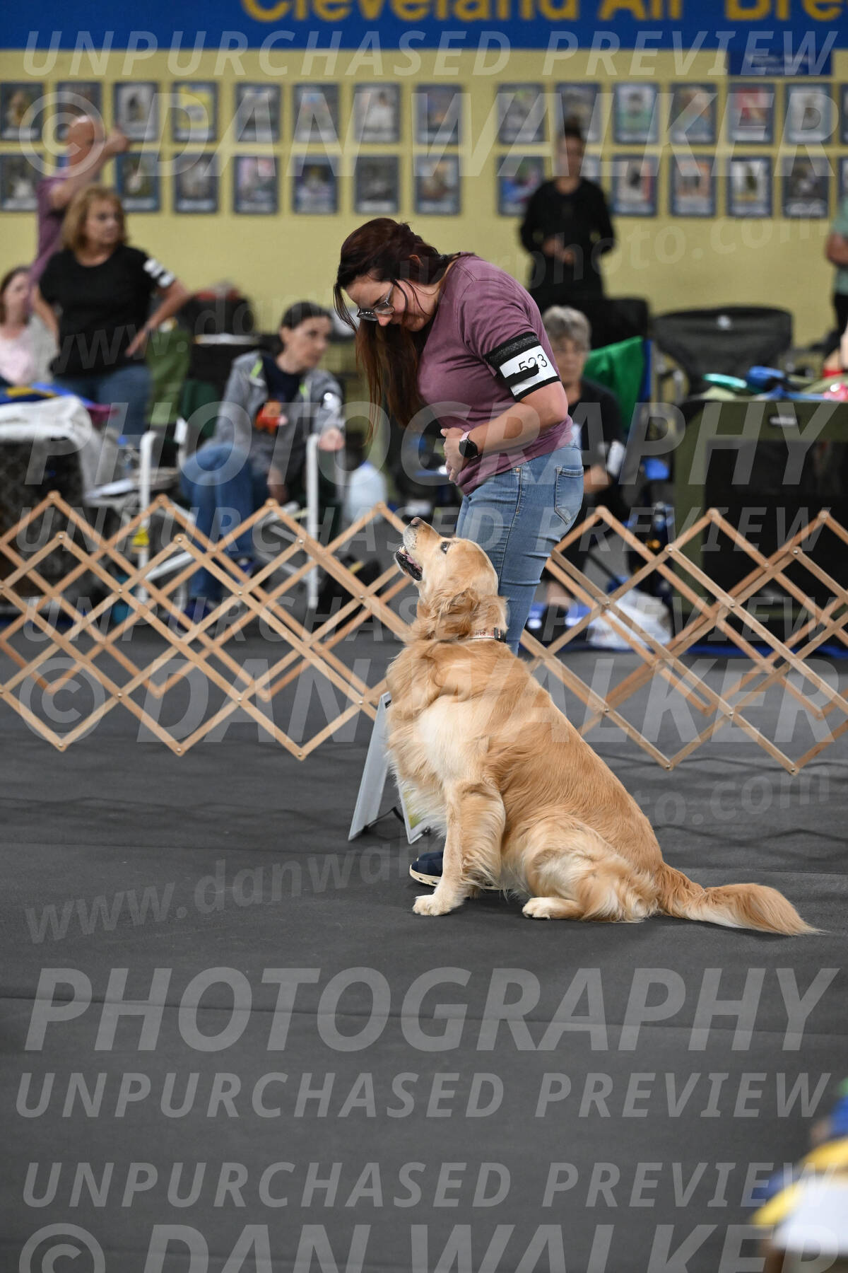 SAT523_0009