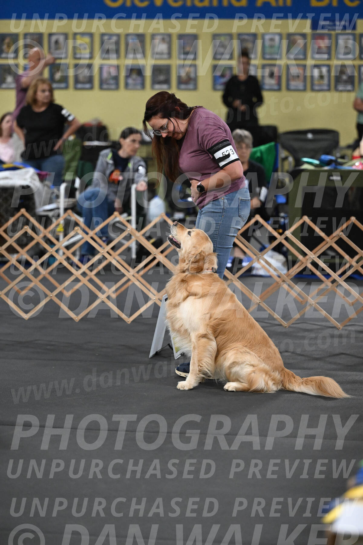 SAT523_0010