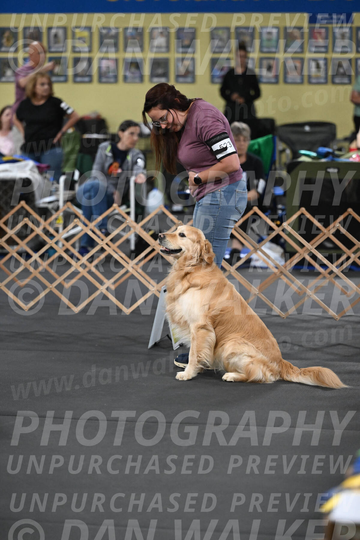 SAT523_0011