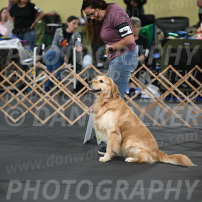 SAT523_0012