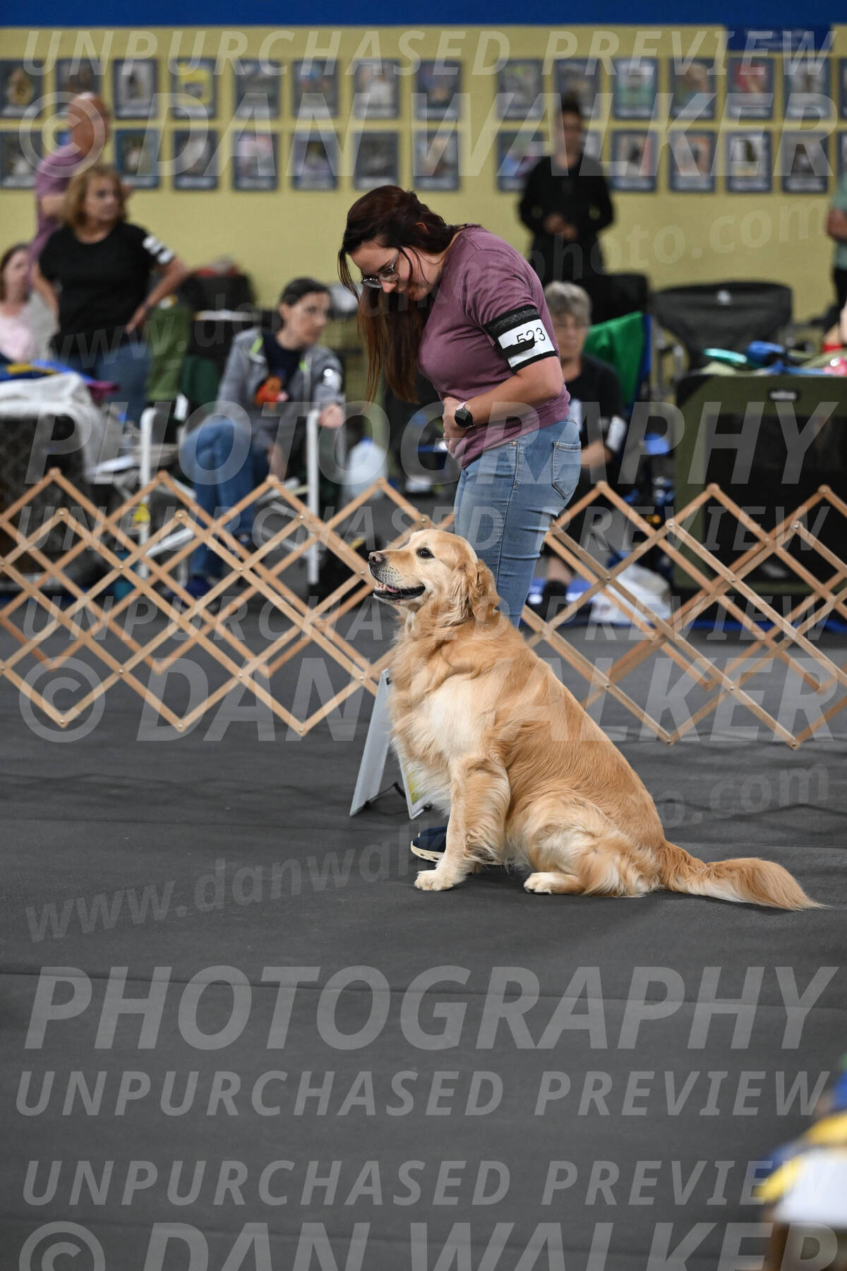 SAT523_0012