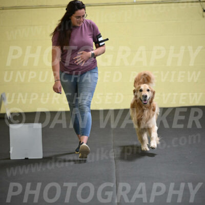 SAT523_0022
