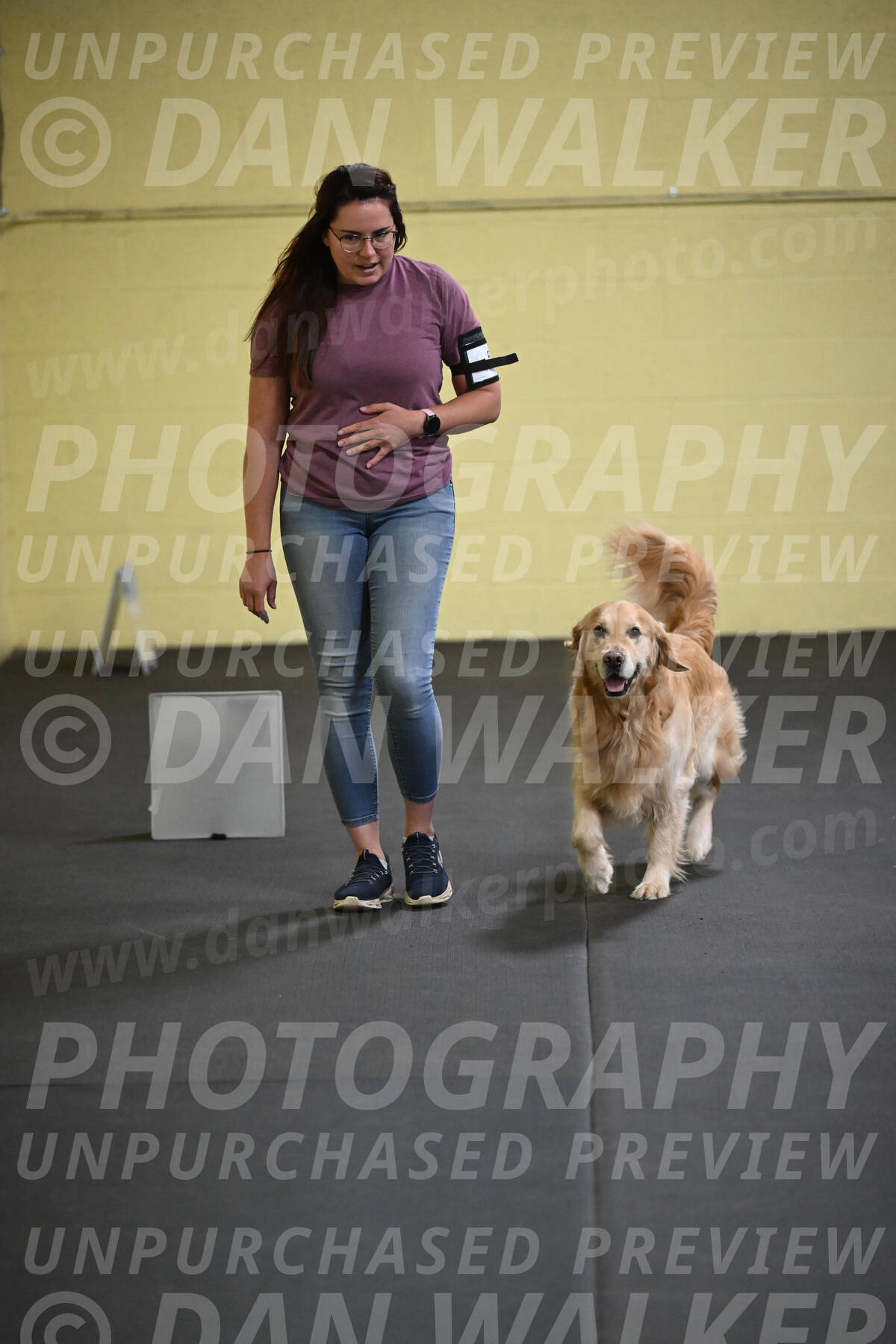 SAT523_0029