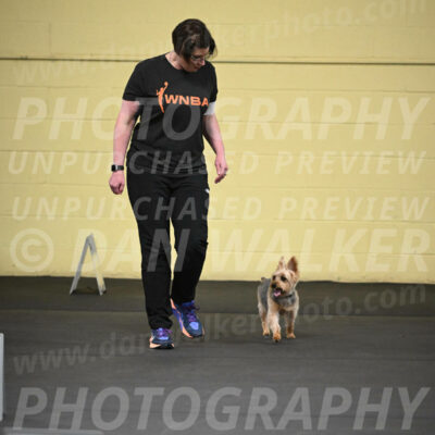 SAT601_0020