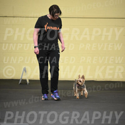 SAT601_0021