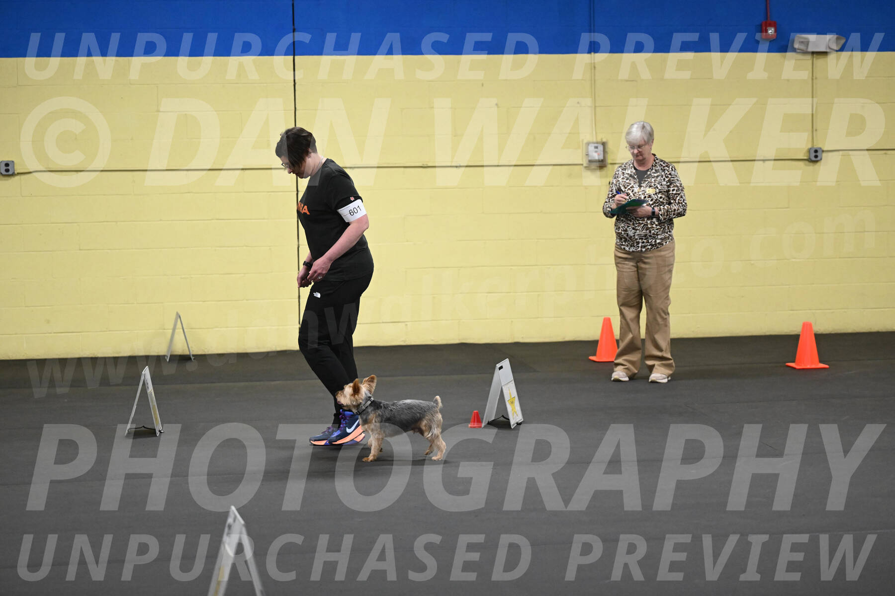 SAT601_0054