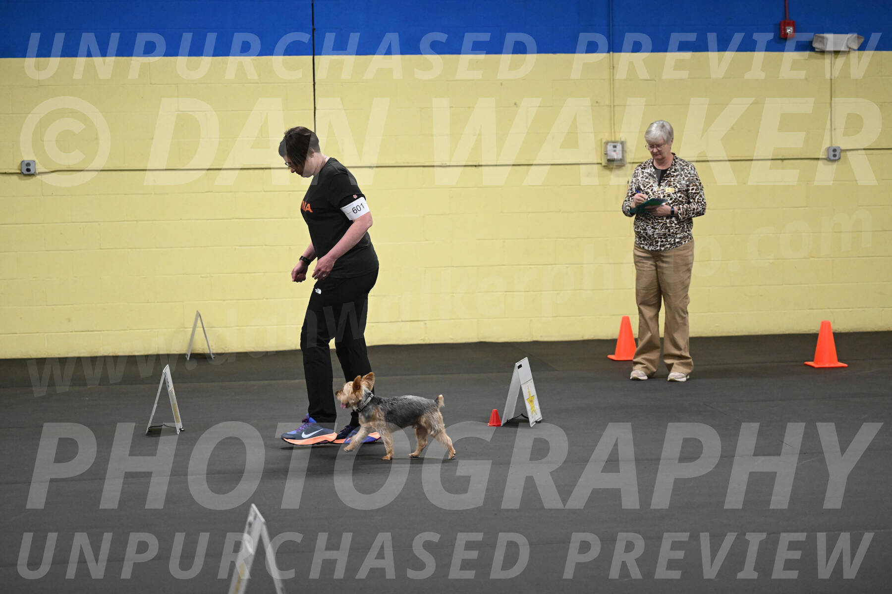 SAT601_0055
