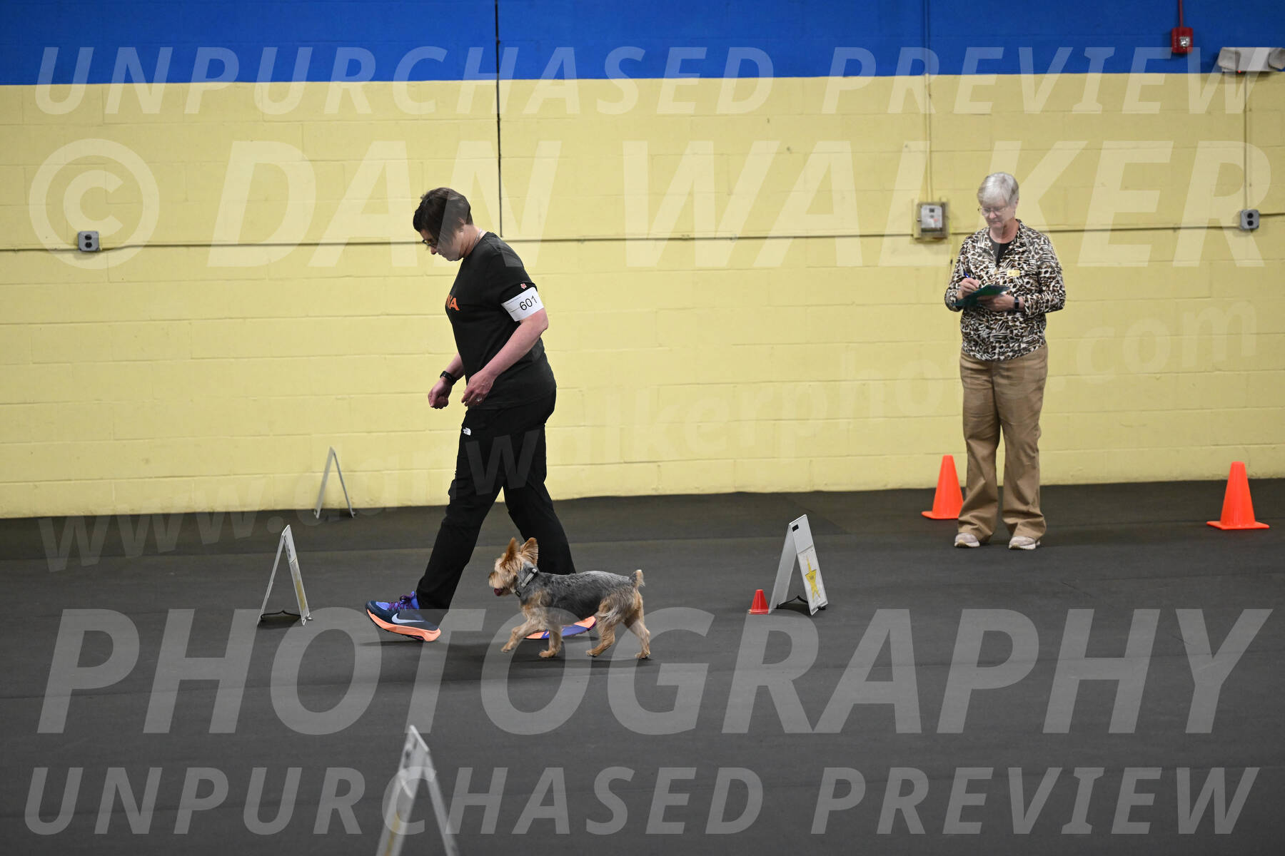 SAT601_0056