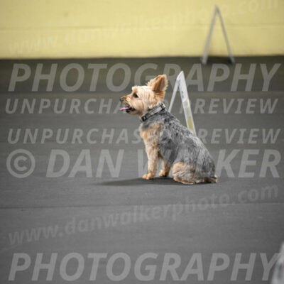 SAT601_0058