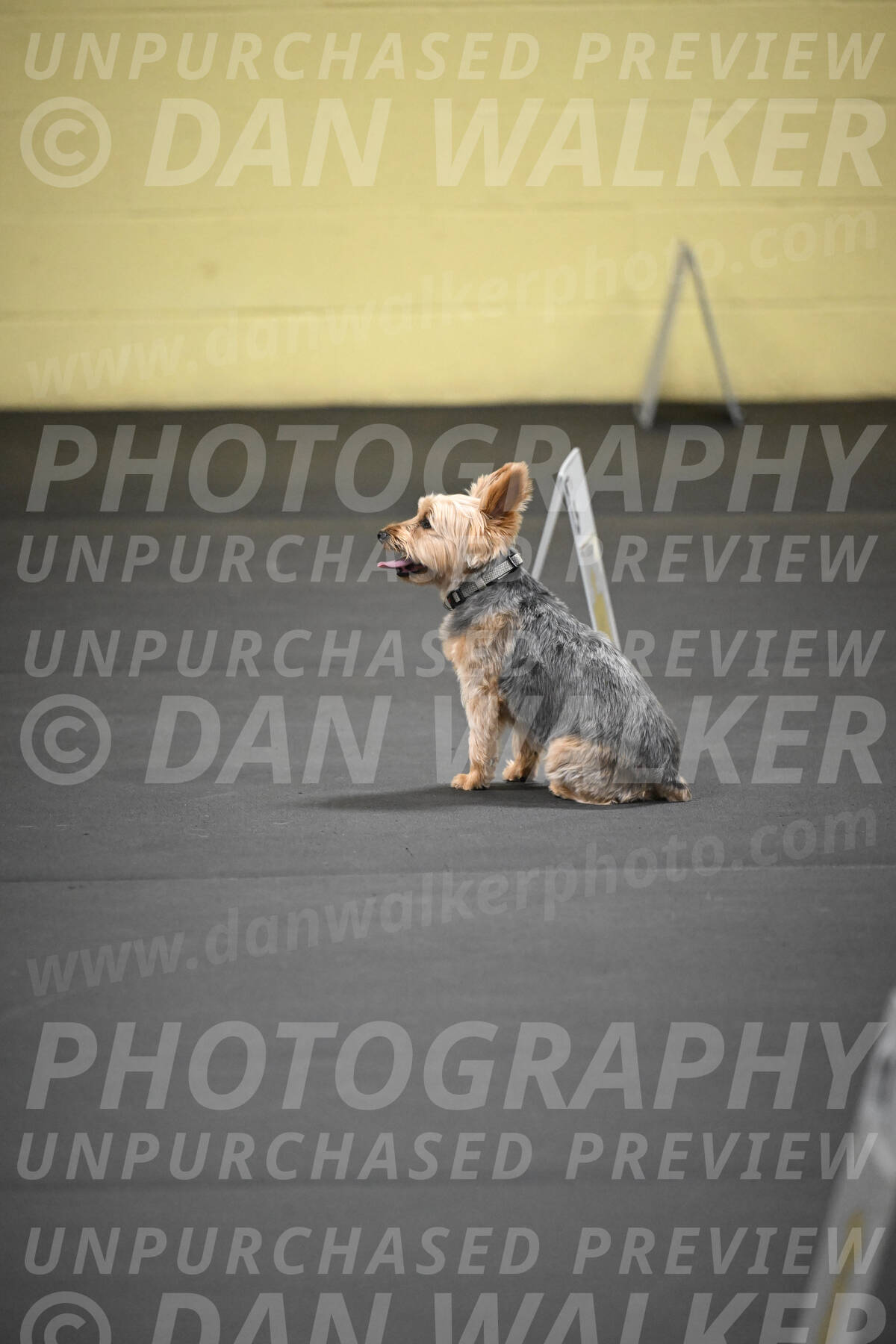 SAT601_0059