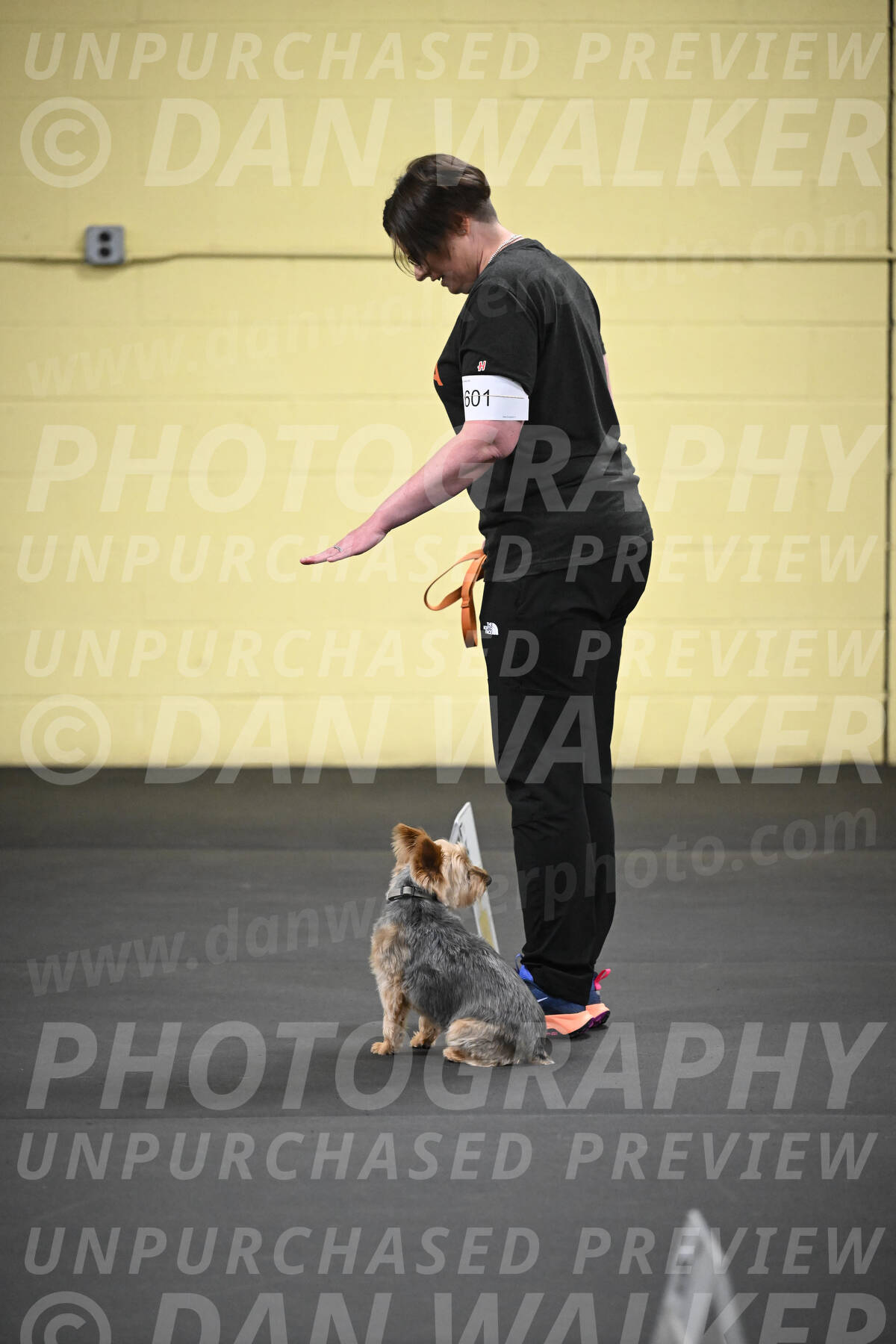 SAT601_0062
