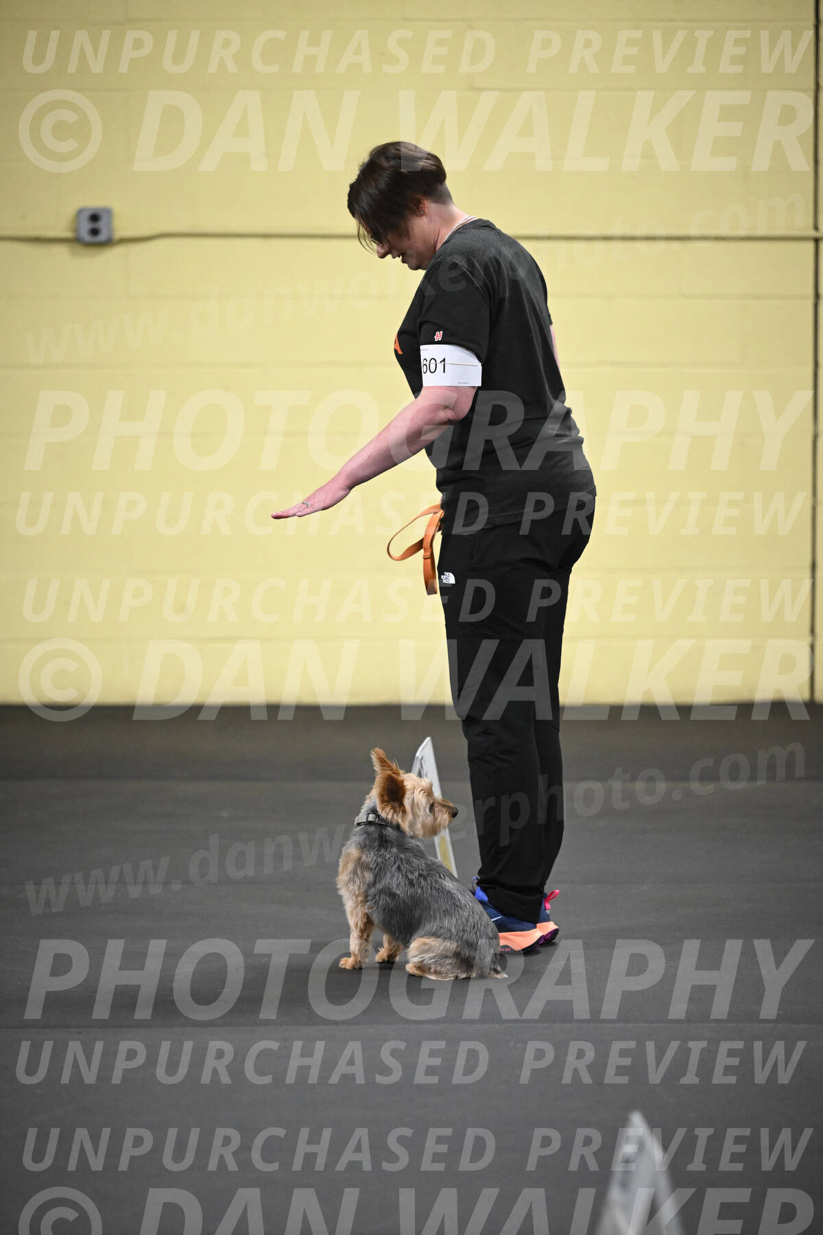 SAT601_0063