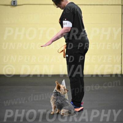 SAT601_0063