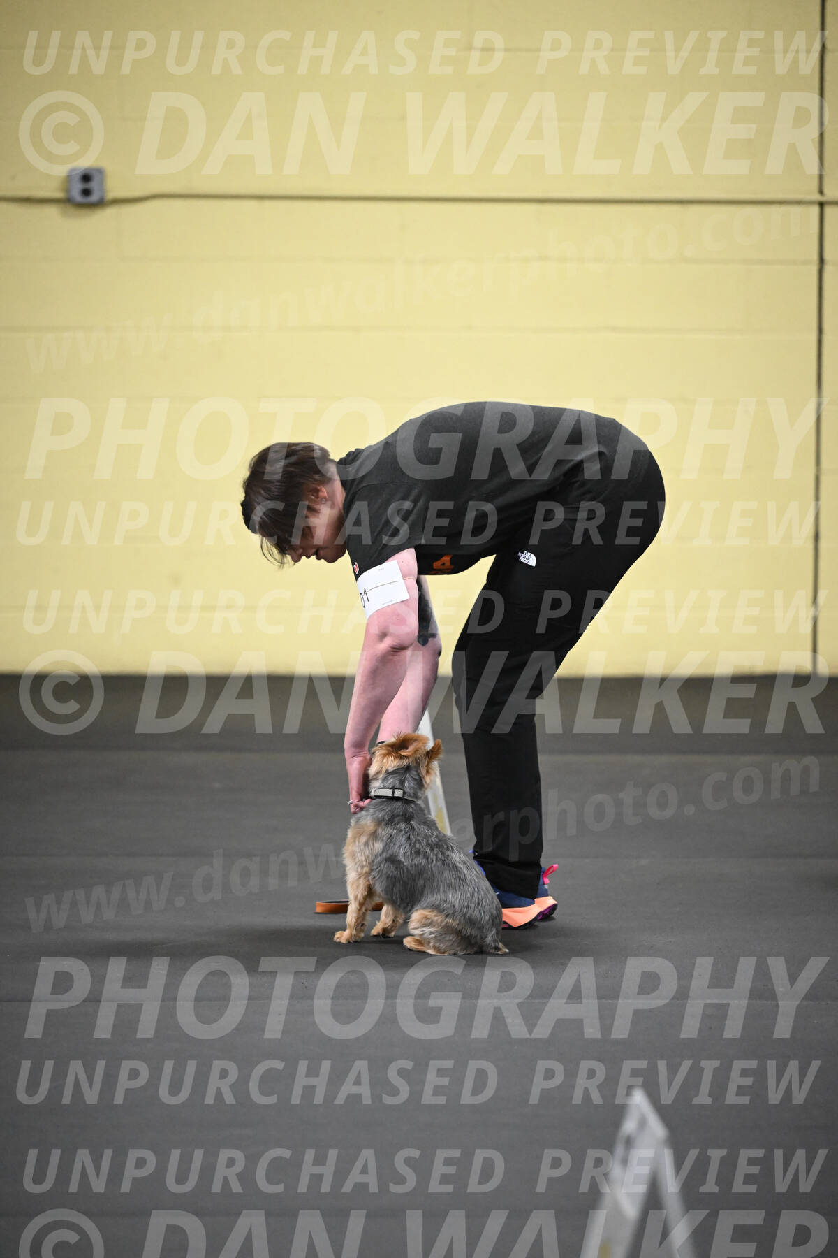 SAT601_0064