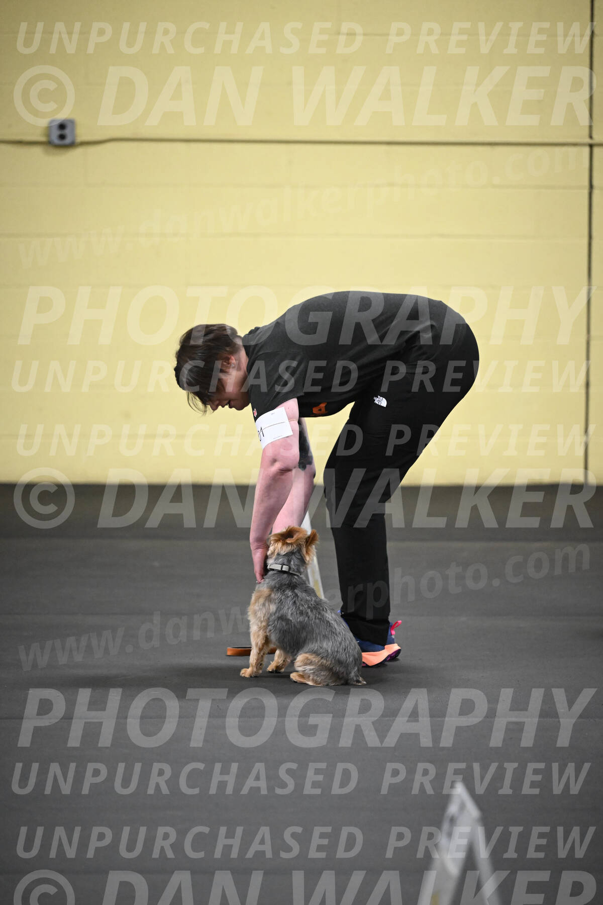 SAT601_0065