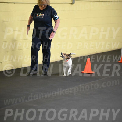 SAT701_0021