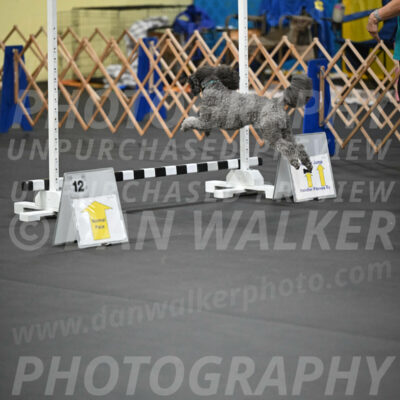 SAT702_0011